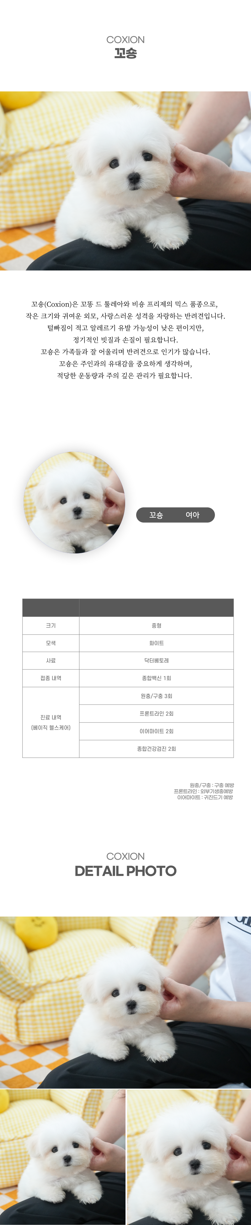 꼬숑_상세이미지_2